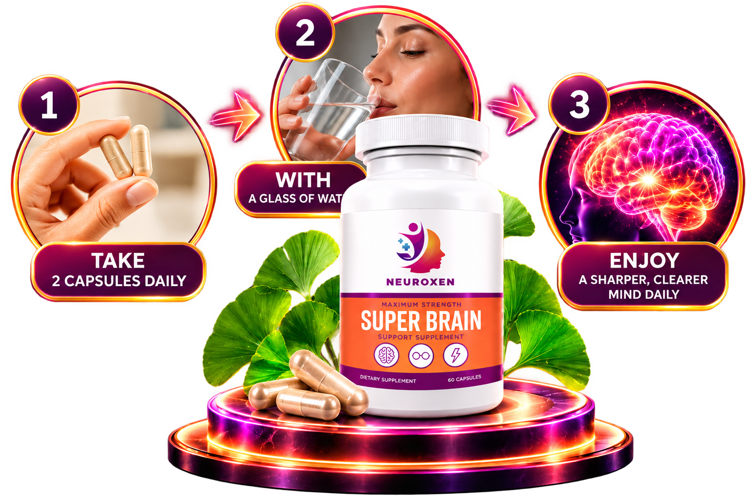 How to use NeuroXen in three steps